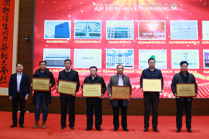 民營(yíng)企業(yè)高質(zhì)量發(fā)展，德才集團(tuán)再獲殊榮領(lǐng)跑民企(圖2)