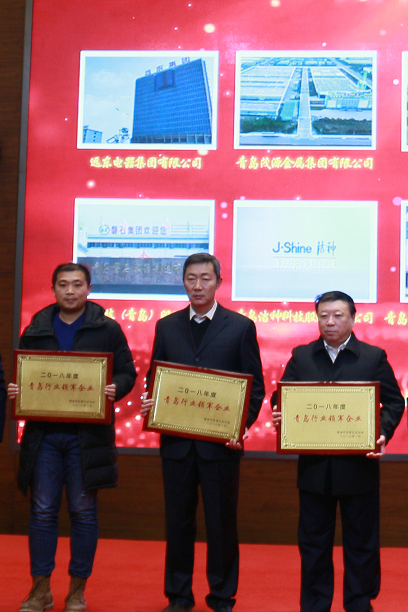 民營(yíng)企業(yè)高質(zhì)量發(fā)展，德才集團(tuán)再獲殊榮領(lǐng)跑民企(圖6)