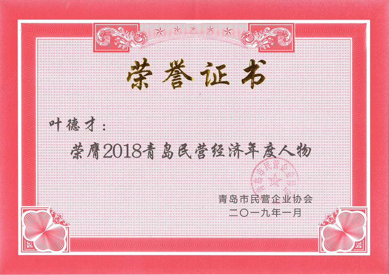 民營(yíng)企業(yè)高質(zhì)量發(fā)展，德才集團(tuán)再獲殊榮領(lǐng)跑民企(圖7)