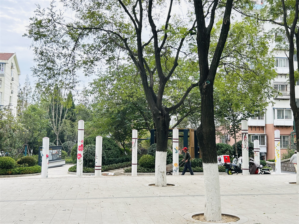 創(chuàng)新模式打造品質(zhì)社區(qū)——青島市永嘉路二片區(qū)老舊小區(qū)改造項(xiàng)目(圖14)